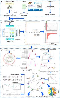 Deep neural network for discovering metabolism-related biomarkers for lung adenocarcinoma